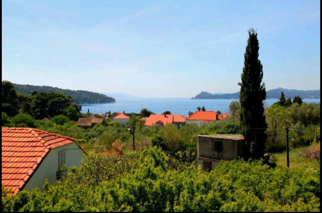 Ivan And Marica Guest House Lopud Exterior photo